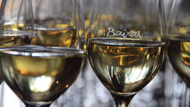 eidos2 copas albariño